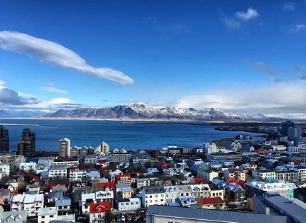 Скільки живе комар?